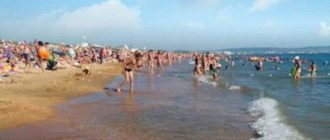 Территория поселка Витязево